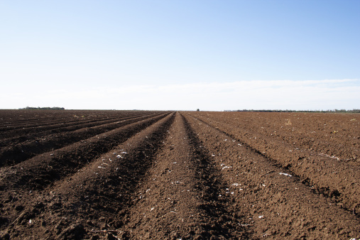 Plowed agricultural field with cultivated fertile soil prepared for planting crops in spring.