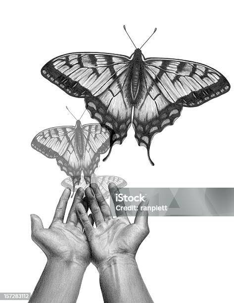 Butterfly Release Stock Photo - Download Image Now - Butterfly - Insect, Image Montage, Black And White