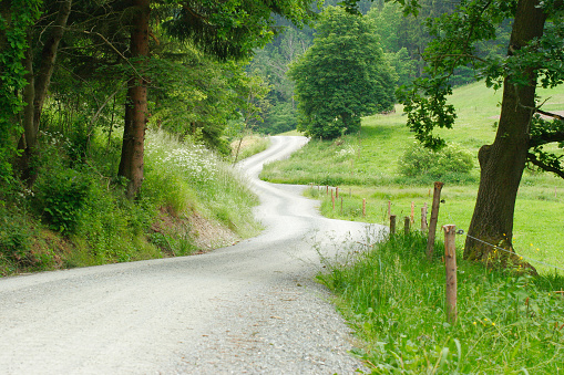 Road winding through fields and forests