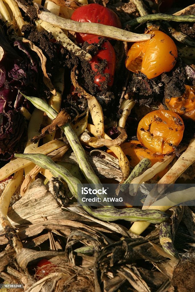 Los residuos orgánicos - Foto de stock de Compostable libre de derechos