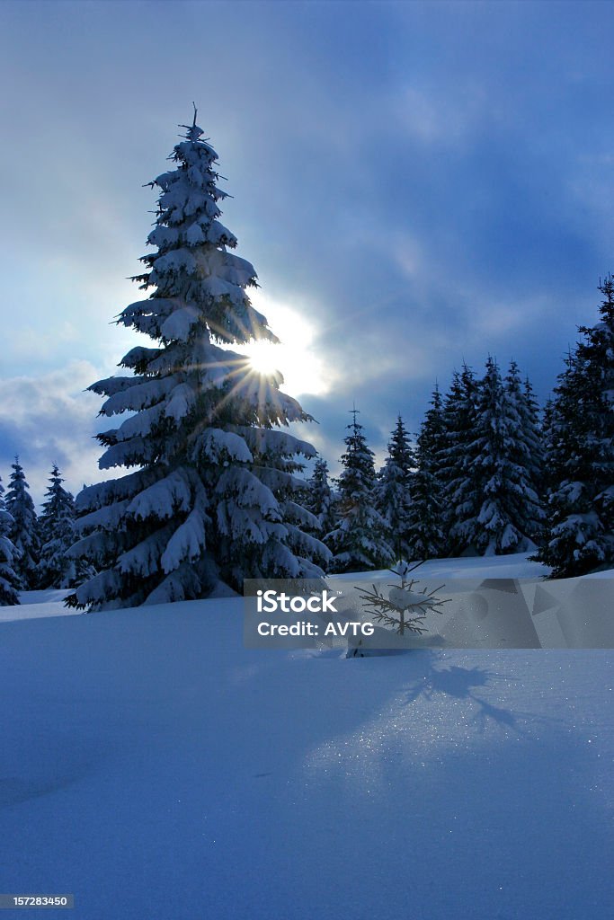 겨울맞이 일요일 - 로열티 프리 눈-냉동상태의 물 스톡 사진