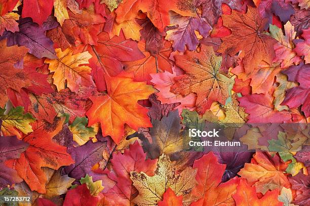 Fall Leaves-foton och fler bilder på Höst - Höst, Löv, Bildbakgrund