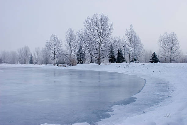 Photo of Frozen Pond