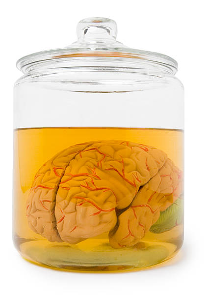 Brain in a jar with clipping path  brain jar stock pictures, royalty-free photos & images