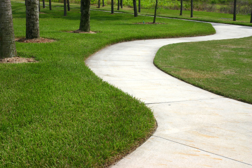 Winding path through grass and trees.