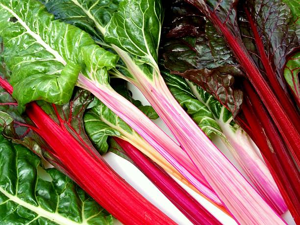 istock Chard stalks in rainbow colors 157284037