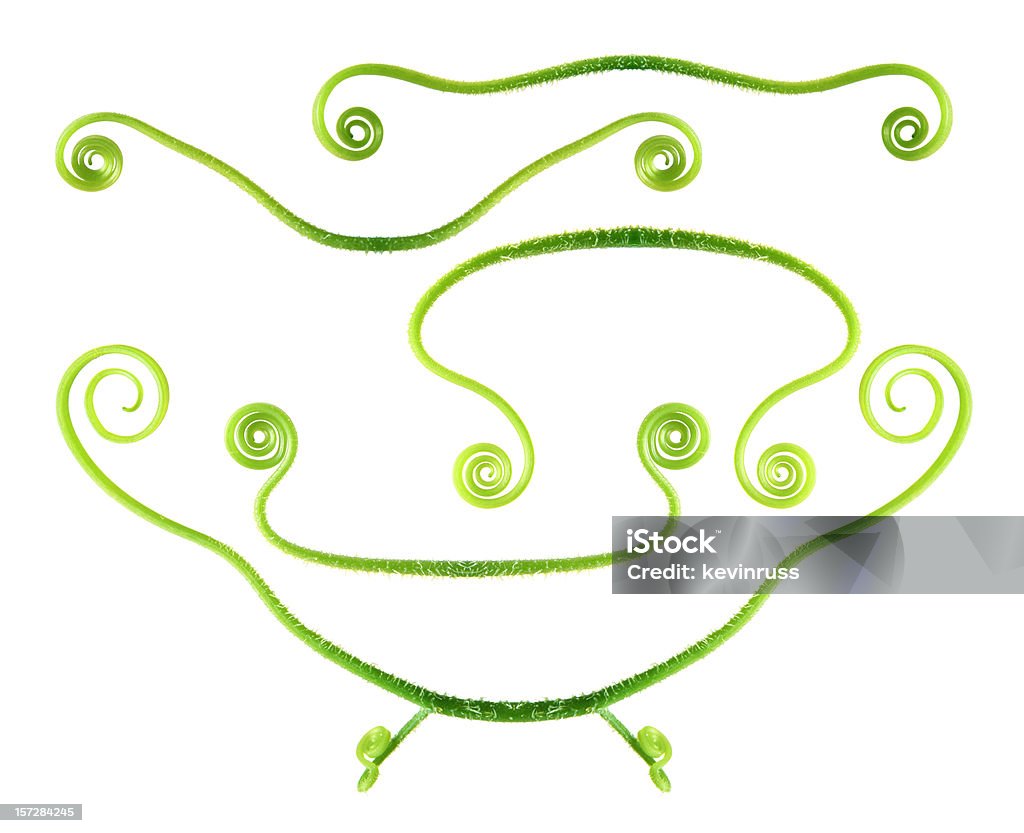 Cucumber Tendrils Making a Swirly Design  Animal Markings Stock Photo