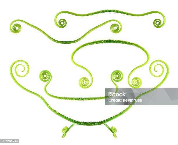 Cucumber Tendrils Making A Swirly Design Stock Photo - Download Image Now - Animal Markings, Arranging, Circle