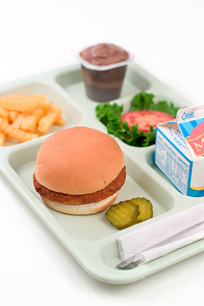 cantine scolaire-burger au poulet - school lunch lunch tray scale photos et images de collection