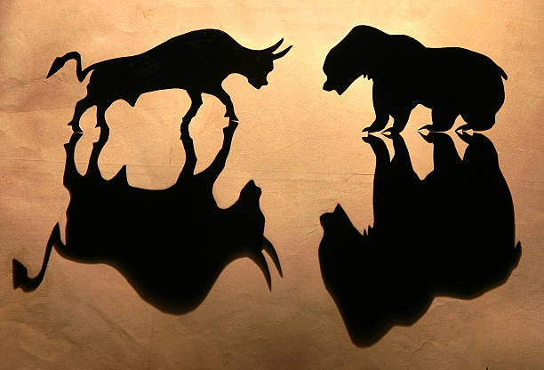 stock market-bulls vs. bears - stock market bull bull market bear fotografías e imágenes de stock