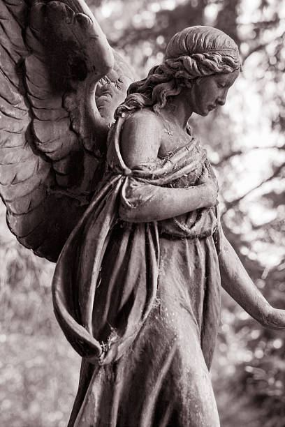 Angel stock photo