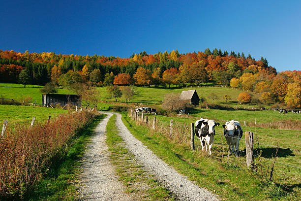 Outono Paisagem perfeita - fotografia de stock