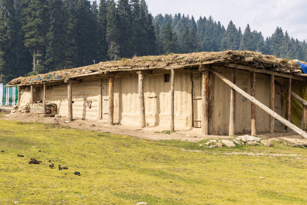 Khansahib Tehsil, Jammu and Kashmir, India. Traditional building in Jammu and Kashmir.