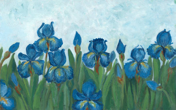 Oil painted blue iris flowers Iris flower bed, scanned image. I'm the author of this painting and the owner of the copyright. blue iris stock illustrations