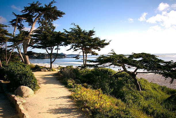 vue sur la plage et la promenade, un sentier pédestre cyprès & littoral pittoresque de carmel, en californie - cypress tree photos photos et images de collection