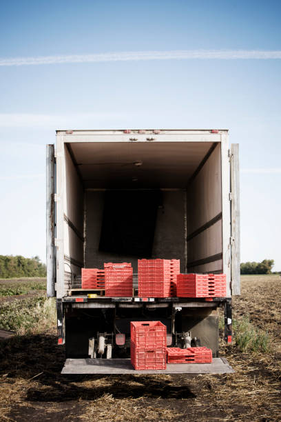 istock Truck load of crates 157286008