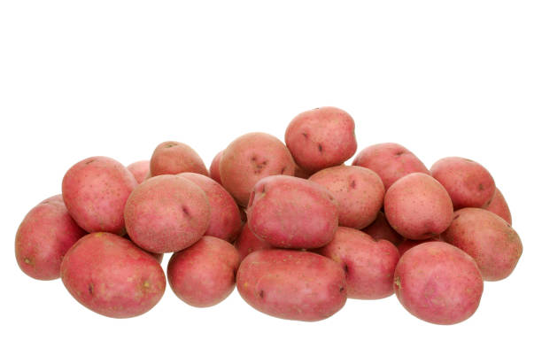 붉은 감자와 - raw potato red potato red nutrient 뉴스 사진 이미지