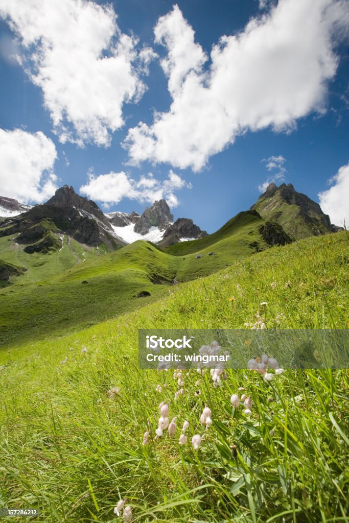 Mont meadow - Photo de Autriche libre de droits