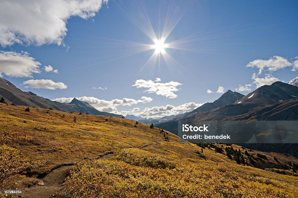 Wilcox Pass, Jasper National Park, Alberta, Canadá - Foto de stock de Alberta royalty-free