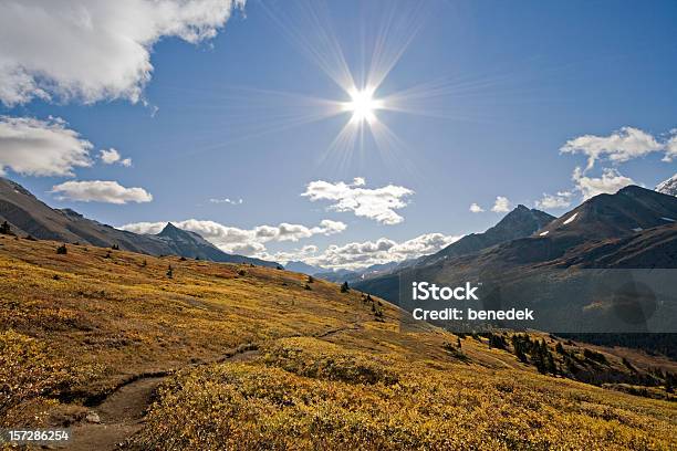 Foto de Wilcox Pass Jasper National Park Alberta Canadá e mais fotos de stock de Alberta - Alberta, Beleza, Beleza natural - Natureza