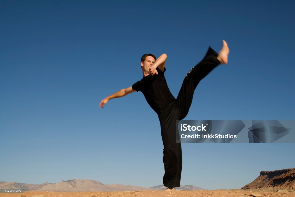 Capoeira - Photo de Coup de pied de côté libre de droits