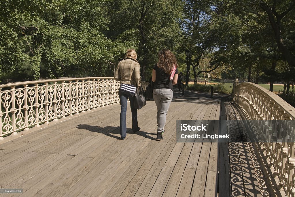 Ponte no Central Park de Nova York - Foto de stock de Central Park - Manhattan royalty-free