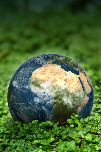 Background with a 3D illustration of the earth in a green garden.