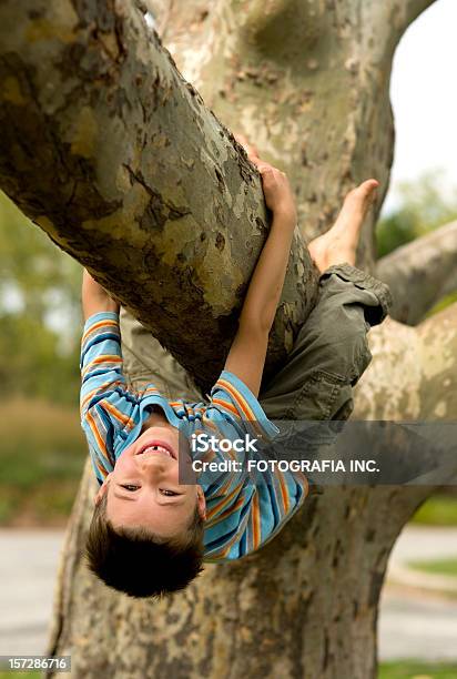 Monkey Zeit Stockfoto und mehr Bilder von Baum - Baum, Hängen, Kind