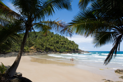 Secluded beach hidden in Bahia state, one of the best touristic destinations in Brazil.