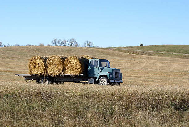 istock truck transporting bales un the courtyard 157287124