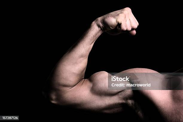 Bicipite - Fotografie stock e altre immagini di Flettere i muscoli - Flettere i muscoli, Bicipite, Uomini