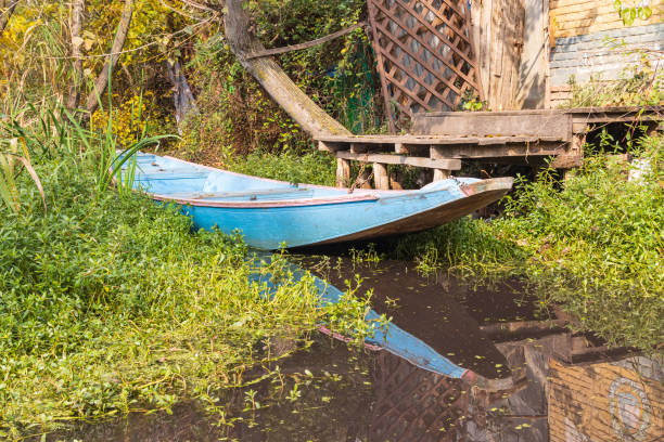 istock A blue boat on the shore of Dal Lake. 1572871561