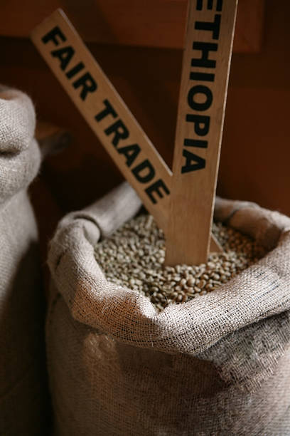 コーヒー豆フェアトレード - coffee bean cafe burlap sack burlap ストックフォトと画像