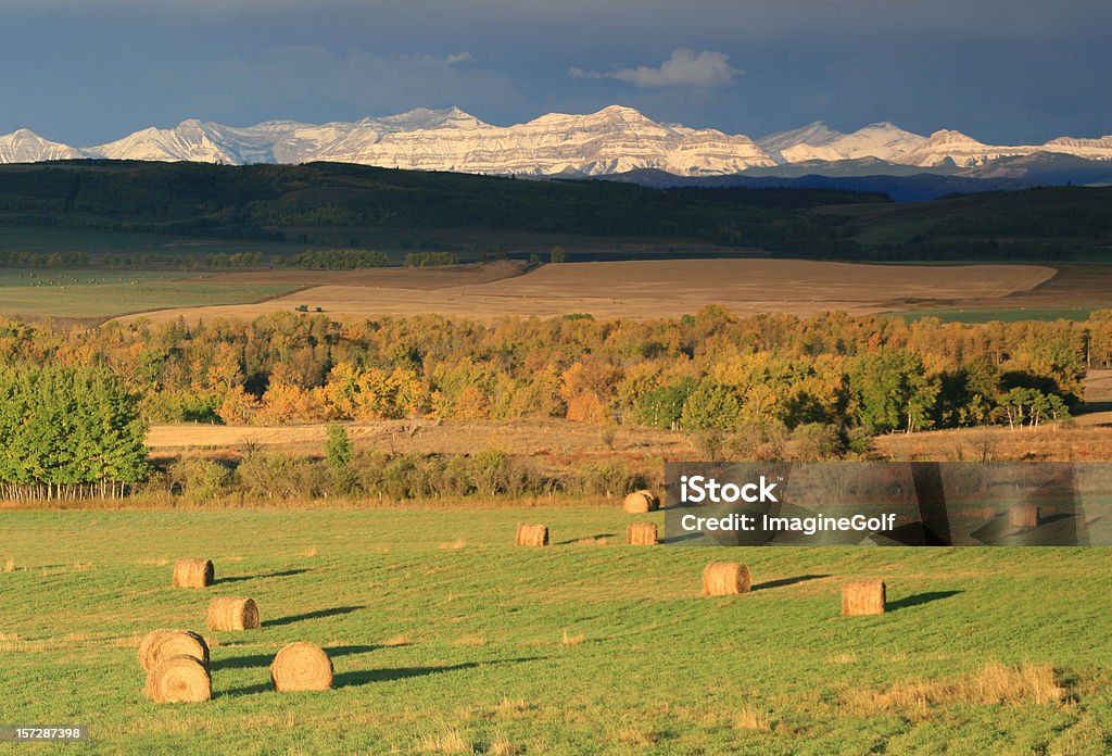 Montagne e fieno Bales - Foto stock royalty-free di Canada