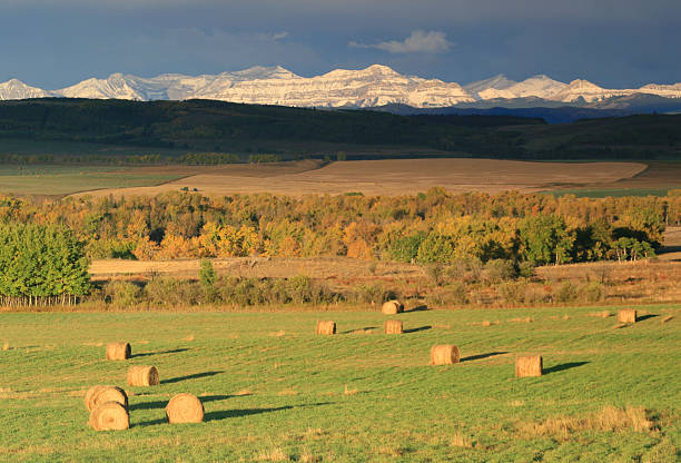 istock Alberta Rocky Mountains and Hay Bales 157287398