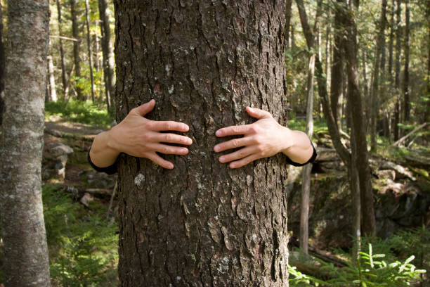 istock Person embracing a tree with arms around it 157287399