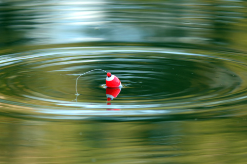 a bobber floating on a lake with the ripples spreading out around it