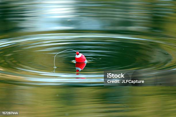 Apenas De Pesca Flutuantecork No Lago Calmo - Fotografias de stock e mais imagens de Boia de Pesca - Boia de Pesca, Pesca, Ondulado - Descrição Física