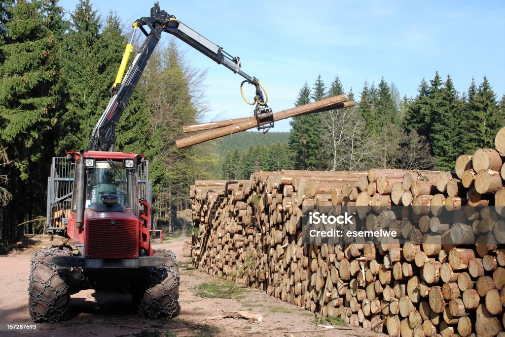 Industria forestale - Foto stock royalty-free di Albero