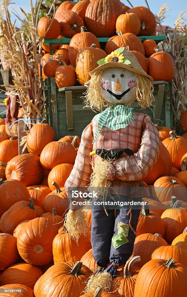 Guardian del Pumpkins - Foto de stock de Abundancia libre de derechos