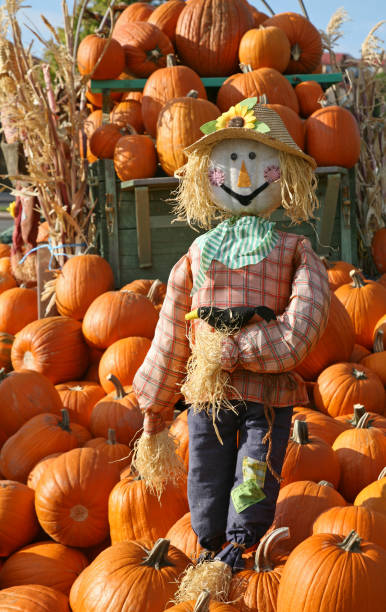 istock Guardian Of The Pumpkins 157287799