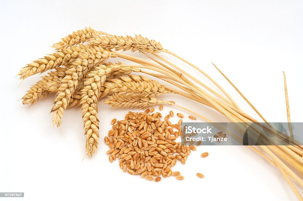 Bunch of wheat against a white background Wheat stems with seeds,on white background. Wheat Stock Photo