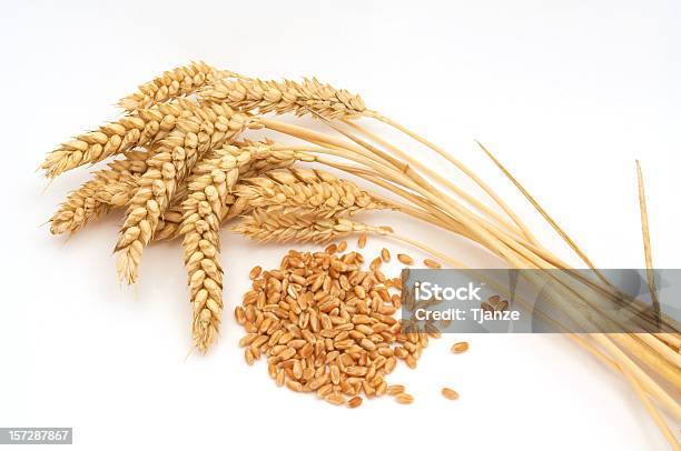 Bunch Of Wheat Against A White Background Stock Photo - Download Image Now - Wheat, White Background, Cereal Plant