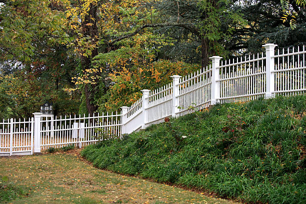 istock Iron Fence Modern Home Suburbia 157287913
