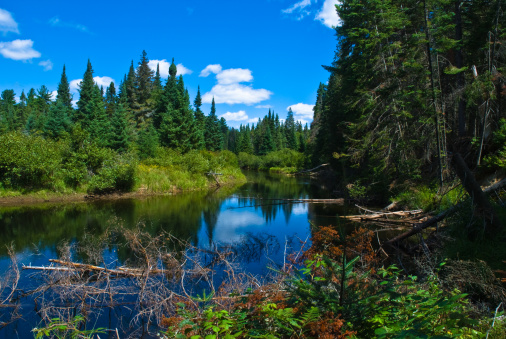 Oxtongue river in Algonquin Park, Ontario, Canada