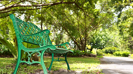 The green bench near tree in a public park. metal vintage bench in a public park. bench in the shade of trees, sunny day.