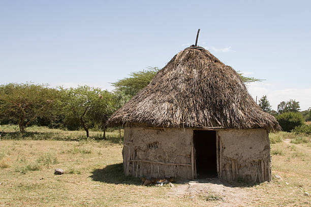 african capanna in etiopia - hut africa grass hut mud hut foto e immagini stock