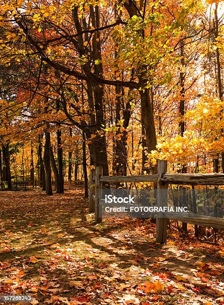 Herbstfarben Stockfoto und mehr Bilder von Herbst - Herbst, Landschaft, Landschaftspanorama