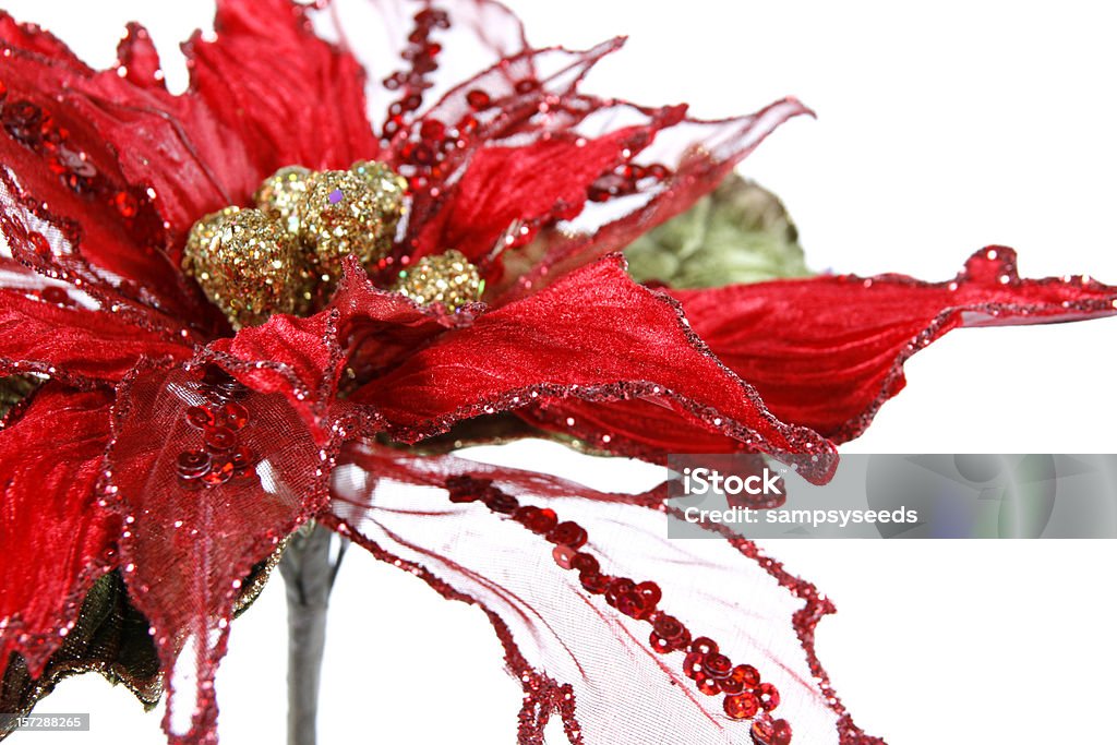 크리스마스 데커레이션 - 로열티 프리 꽃-식물 스톡 사진