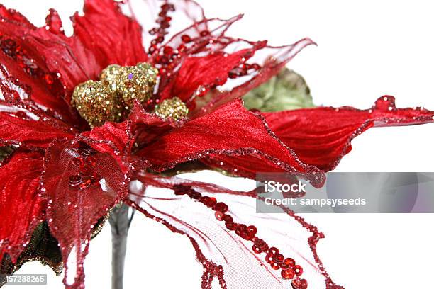 크리스마스 데커레이션 꽃-식물에 대한 스톡 사진 및 기타 이미지 - 꽃-식물, 인공적인, 12월